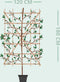 Haagbeuk haagelement Carpinus betulus 180 cm