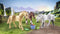 PLAYMOBIL Horses of Waterfall 3 paarden met accessoires - 71356
