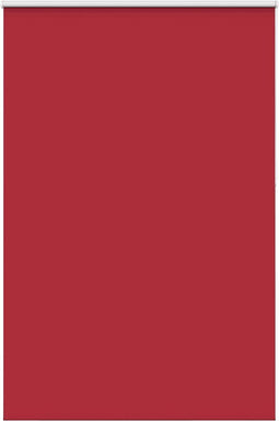 vidaXL - Rolgordijn - verduisterend - 160x210 - cm - stofbreedte - 156,6 - cm
