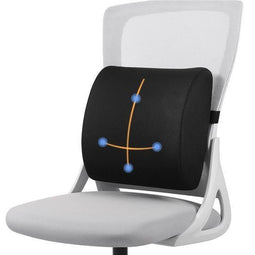 Alyze Ergonomische Rugkussen - Ondersteunend Lendekussen - Geheugenschuim - Zwart