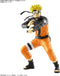 Bandai Naruto Shippuden Entry Grade Plastic Model Kit Naruto Uzumaki Model Kits