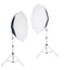 Falcon Eyes Daglicht Set LHDK-2B455
