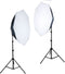 Falcon Eyes Daglicht Set LHDK-2B455