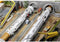Faller 130900 H0 Tunnelboormachine Gripper-TBM