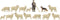 Faller - Sheep farming - FA151901 - modelbouwsets, hobbybouwspeelgoed voor kinderen, modelverf en accessoires