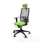 Horna Traslack Piqueras y Crespo 1D066G2 - Bureaustoel - Hoofdsteun en armleuning - Zwart