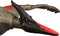 JURASSIC WORLD WILD ROAR PTERANODON.
