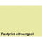 Fastprint - Kopieerpapier fastprint-100 a4 80gr citroengeel | 10 stuks