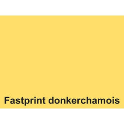 Fastprint - Kopieerpapier fastprint-100 a4 80gr donkerchamois | 10 stuks