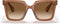 Giorgio Armani 8156 Transparent Brown/ Clear Gradient Brown - AR8156 593251