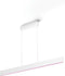 Philips Hue Ensis - Hanglamp - White and Color Ambiance - 2 x 39W - Wit