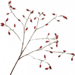 Silk-ka Kunstbloem-Zijden Bloem Rozenbottel Tak Rood 106 cm