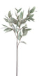 PTMD Leaves Plant Eucalyptus Kunsttak - 44 x 30 x 85 cm - Grijs/Groen