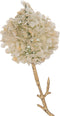 J-Line decoratie Tak 2 Bloemen Pompons - kunststof - crème/goud - small - 12 stuks