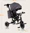 Lionelo Tris Plus - Driewieler - 2-in-1 tot 5 jaar - 360° draaibare zitting - Grey Stone
