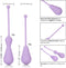 CalExotics - Weighted Kegel Exercisers Set - Balls Paars