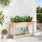 vidaXL - Tuinbak - met - Planken - 155x59x76 - cm - Massief - Grenenhout