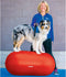 FitPAWS Dierenbalansplatform Trax Peanut 40 cm geel