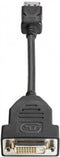 HP DisplayPort naar DVI-D Adapter - DisplayPort (M) naar DVI-D (V) - 19 cm - Zwart