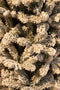 Black Box Trees Harma Smalle Kunstkerstboom - H185 x Ø63 cm - Groen Frosted