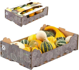 Echte pompoen Giftbox XL | ca. 8 stuks | 3-7 cm Ø | herfstdecoratie | Halloween