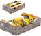 Echte pompoen Giftbox XL | ca. 8 stuks | 3-7 cm Ø | herfstdecoratie | Halloween