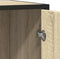 vidaXL - Dressoir - 62x35x76 - cm - bewerkt - hout - sonoma - eikenkleurig