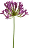 Emerald - Kunstbloem Agapanthus 75cm blauw - Kunstplanten voor binnen