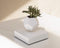 LYFE Planter - Zwevende plant - Wit