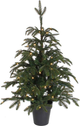 Black Box Treeskerstboom Led Frasier H100D76 Groen 72L Tips 475
