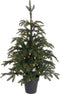Black Box Treeskerstboom Led Frasier H100D76 Groen 72L Tips 475