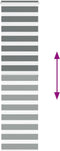 vidaXL - Zebra - rolgordijn - 65x200 - cm - stofbreedte - 60,9 - cm - donkergrijs