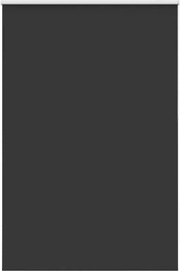 vidaXL - Rolgordijn - verduisterend - 150x230 - cm - stofbreedte - 146,6 - cm - zwart