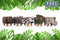 Feel Furniture - Kinder dierenstoel - Dino