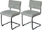 Feel Furniture - Luxe stoel - Ribbon - Grijs - 2 stuks