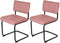 Feel Furniture - Luxe stoel - Ribbon - Zacht roze - Lichtrood - 2 stuks