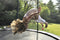 Feel Furniture - Trampoline met net - 305 x 215 cm