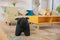 Feel Home - Kinder dierenstoel - Bulldog