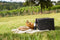 Feel Home - Picknickmand met Picknickkleed - 4 Personen