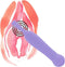 FeelzToys - Mister Sweetspot Clitoris Vibrator - Lila
