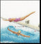 Thea Gouverneur - Borduurpakket met telpatroon - 3036A - Voorgesorteerde DMC Garens - Zwemmen - Aida - 16 cm x 17 cm - DIY Kit