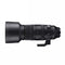 Sigma 60-600mm F4.5-6.3 DG DN OS - Ultra-telephoto zoom - Snelle autofocus en beeldstabilisatie (2022)
