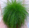 Felgroen gras bol 30 cm