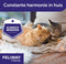 Feliway Friends - navulling - 48 ml - Anti-conflict voor Katten