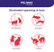 Feliway Friends - Startset - 1 Verdamper met 1 Vulling - 48 ml - Anti-conflict voor Katten