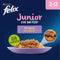 Felix Elke Dag Feest Mix Selectie in Gelei Junior 12 x 85 gr