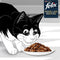 Felix Heerlijke Reepjes Selectie Vis 12 x 80 gr