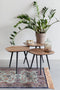 Feliz Lifestyle Cuties Salontafel Hout - Set van 3