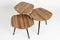Feliz Lifestyle Cuties Salontafel Hout - Set van 3