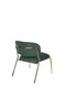 Feliz Lifestyle Jolien Fauteuil Donkergroen - Set van 2